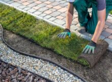 What To Know About Renovating Your Landscaping