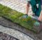 What To Know About Renovating Your Landscaping