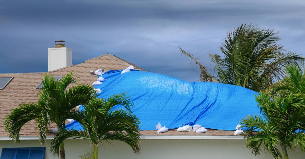 A dark sky and blowing trees indicate a storm coming, and a roof with a blue tarp partially covering an area, held by sandbags.