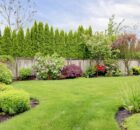 A fenced-in backyard with landscaping that includes lush flowerbeds throughout and a tight row of tall cypress trees.