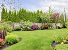 A fenced-in backyard with landscaping that includes lush flowerbeds throughout and a tight row of tall cypress trees.
